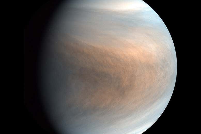 Venus