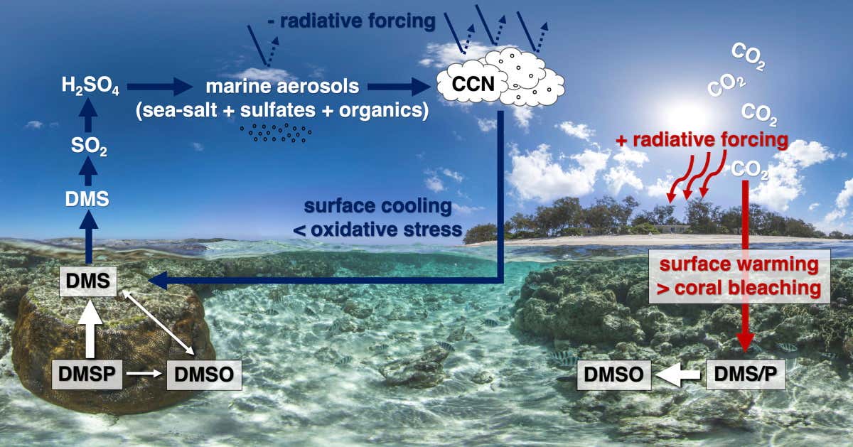 New Scientist. Science news and long reads from expert journalists, covering developments in science, technology, health and the environment on the website and the magazine.