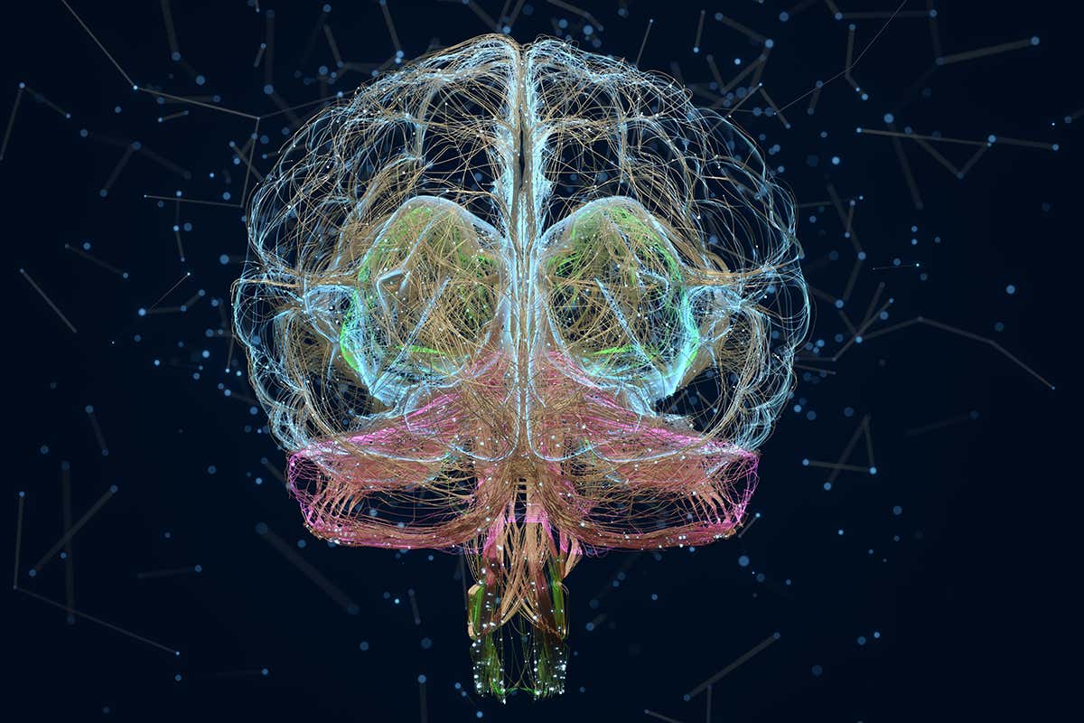 How a 6-year-old had half his brain removed and recovered in 3 months