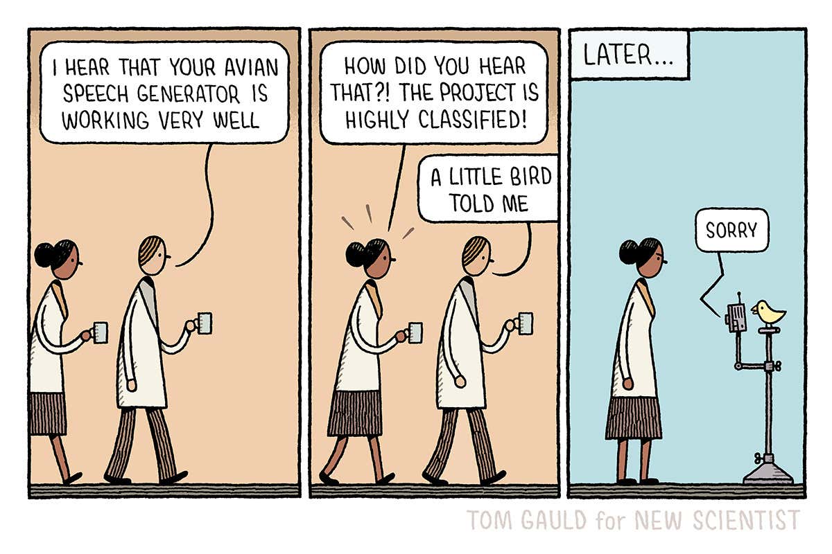 Tom Gauld's highly classified avian speech generator project gets out
