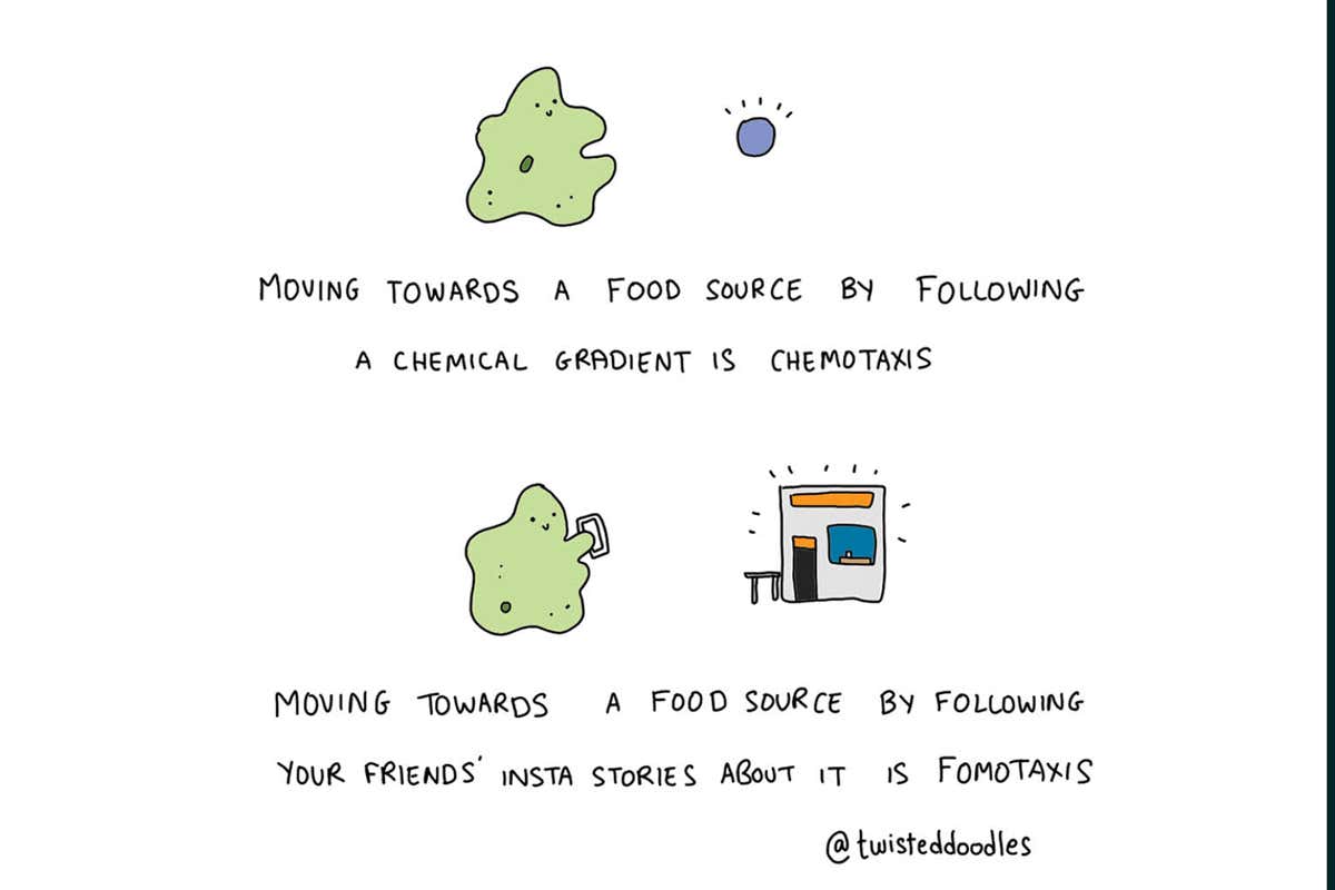 Twisteddoodles on following a food source on Instagram