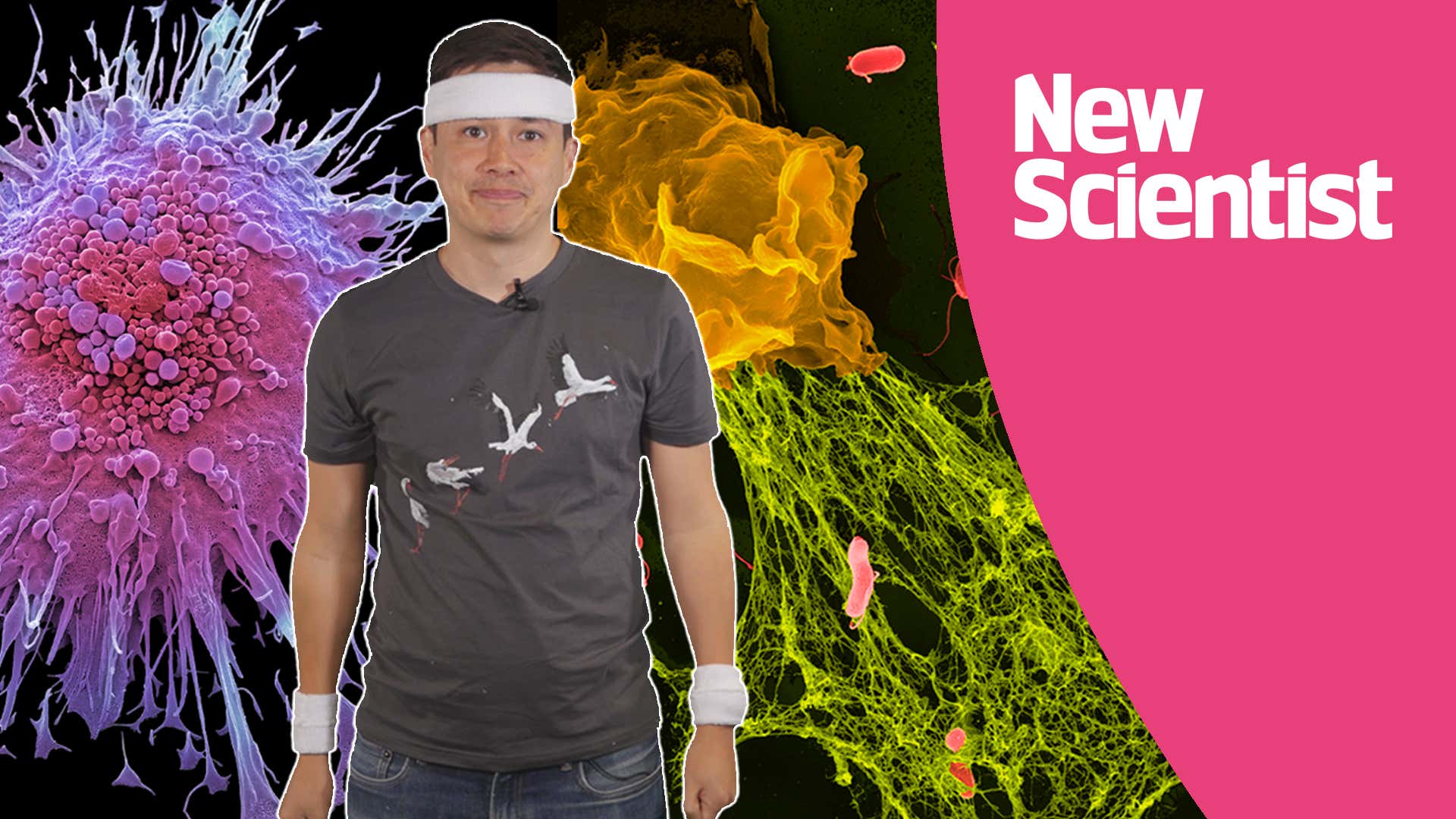 The immune system: can you improve your immune age?