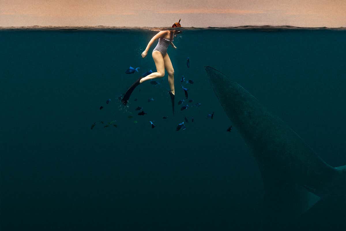 The endangered giants that still lurk in the world’s biggest rivers