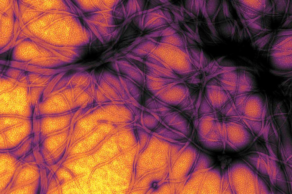 New Scientist. Science news and long reads from expert journalists, covering developments in science, technology, health and the environment on the website and the magazine.