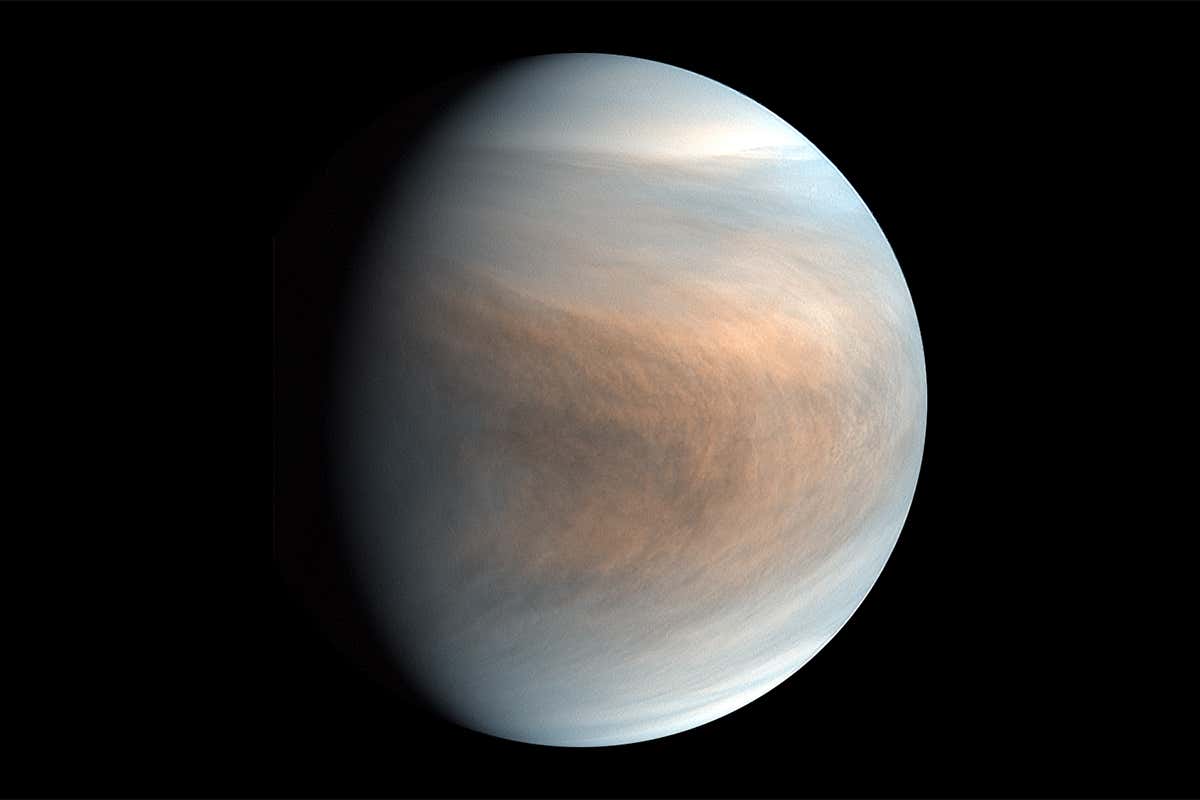 To understand signs of life on Venus we must do chemistry on Earth