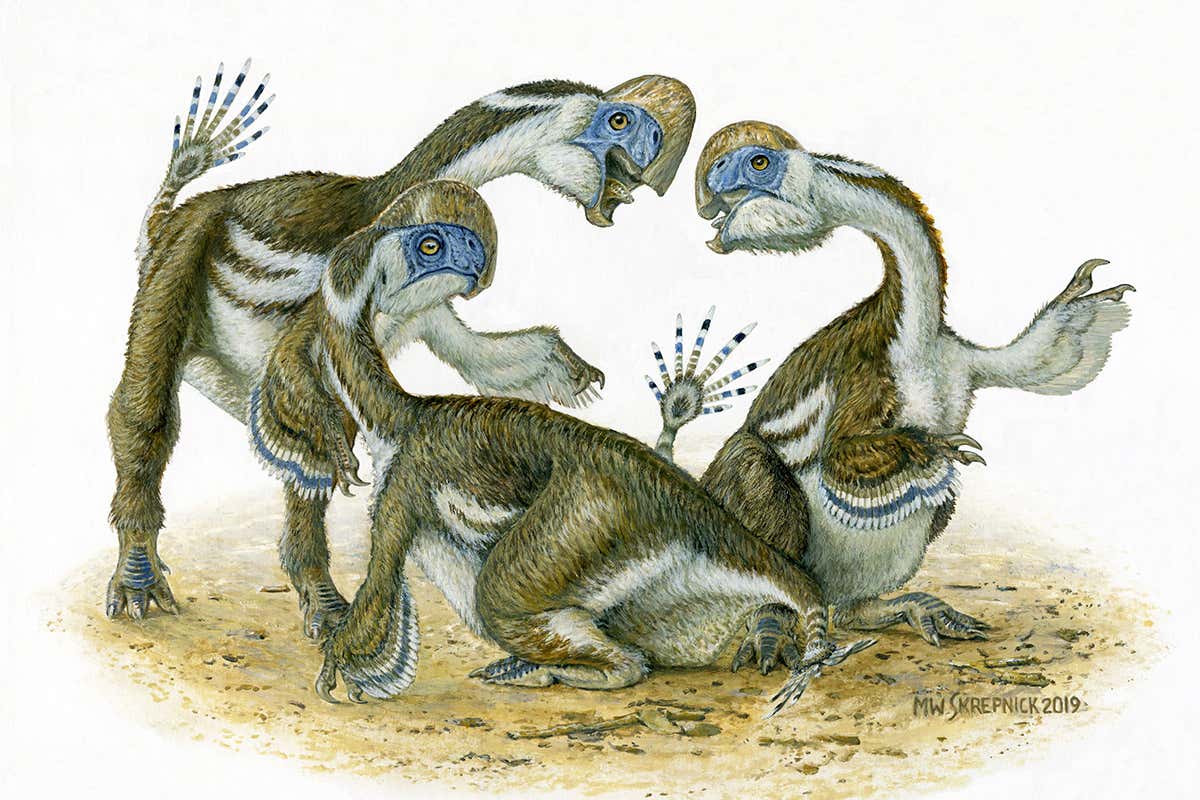 New Scientist. Science news and long reads from expert journalists, covering developments in science, technology, health and the environment on the website and the magazine.