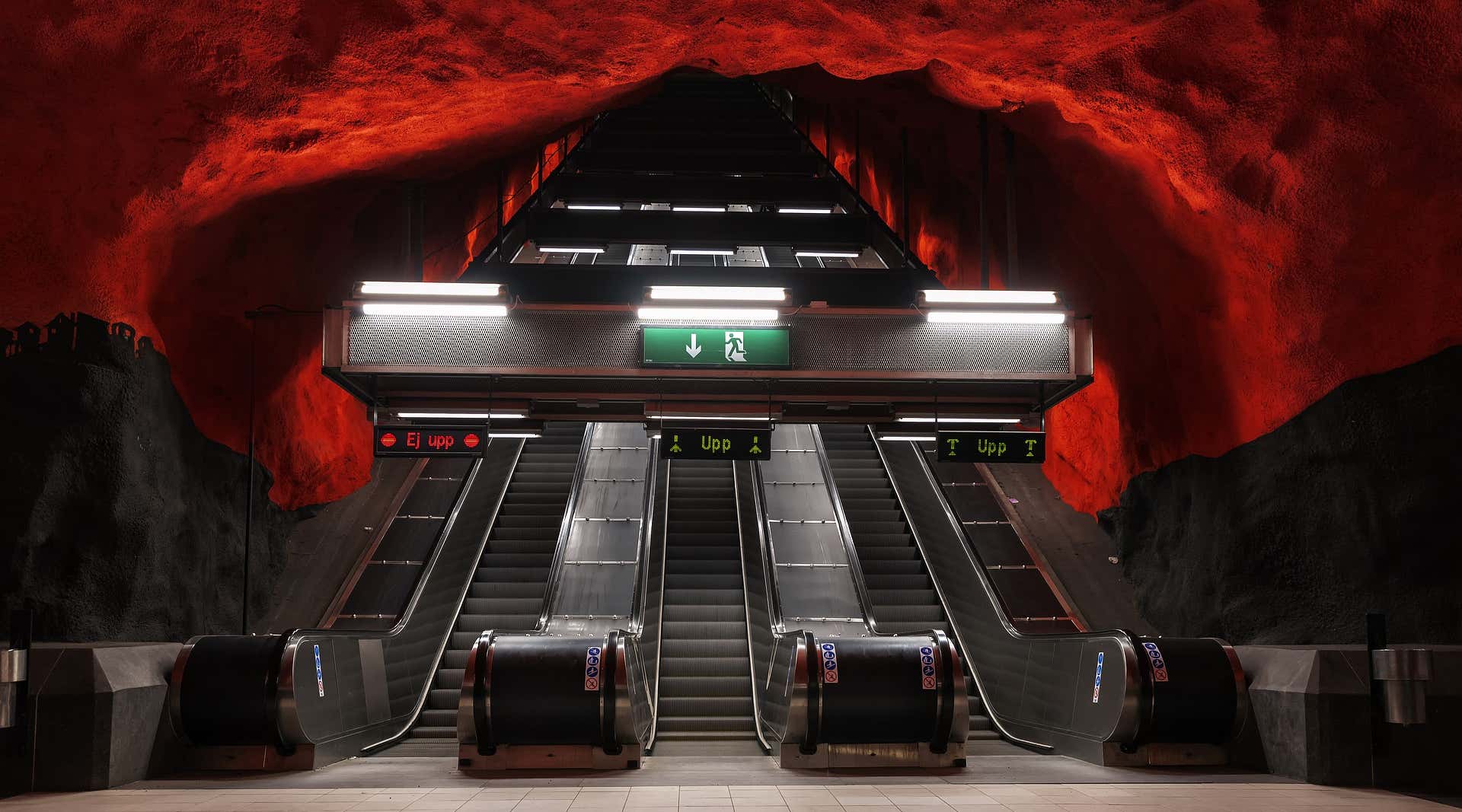 New Scientist. Science news and long reads from expert journalists, covering developments in science, technology, health and the environment on the website and the magazine.