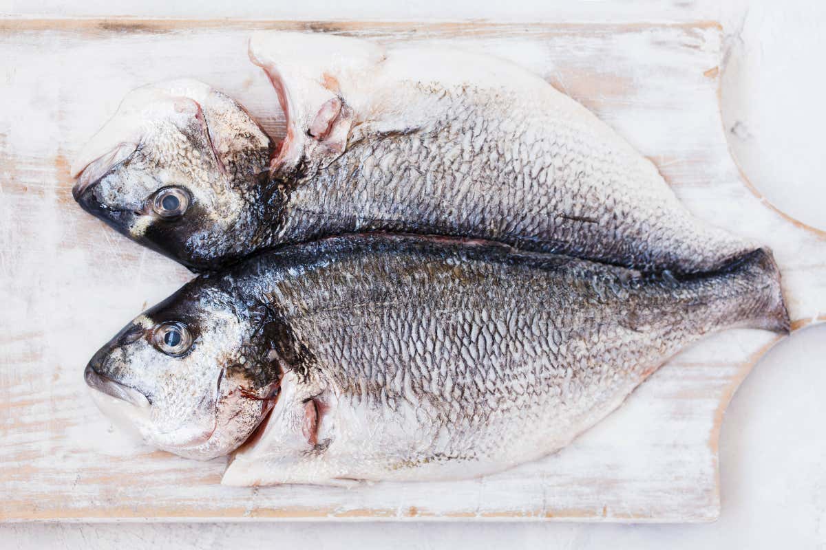 Rotten fish smell sweeter if you have a specific genetic mutation