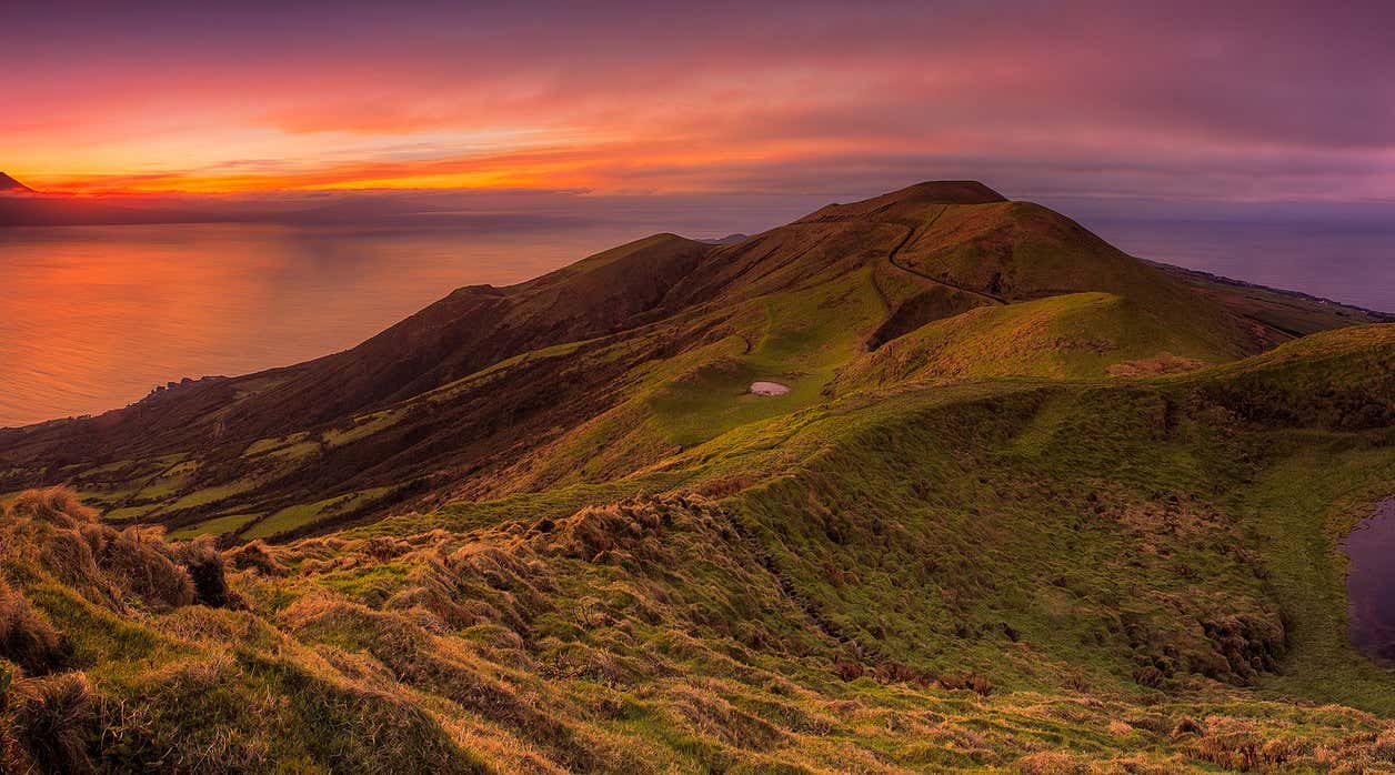 New Scientist. Science news and long reads from expert journalists, covering developments in science, technology, health and the environment on the website and the magazine.