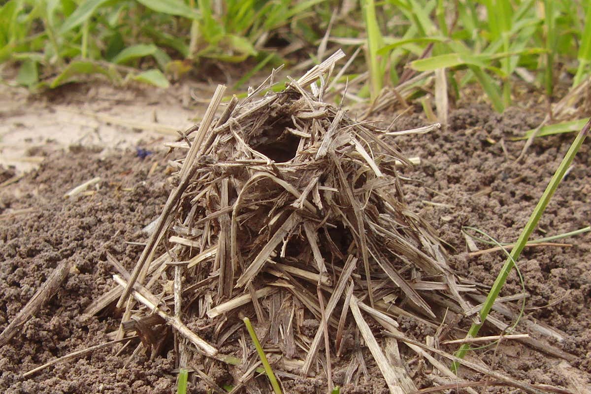 New Scientist. Science news and long reads from expert journalists, covering developments in science, technology, health and the environment on the website and the magazine.