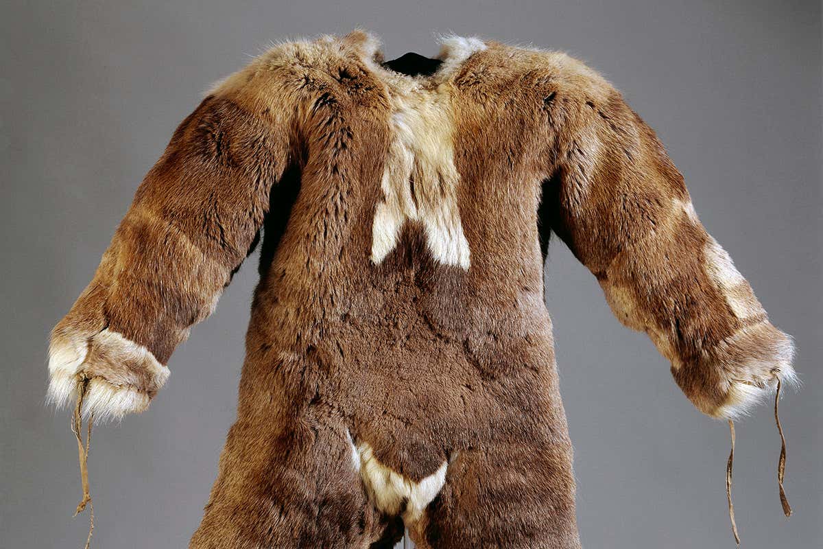 New Scientist. Science news and long reads from expert journalists, covering developments in science, technology, health and the environment on the website and the magazine.