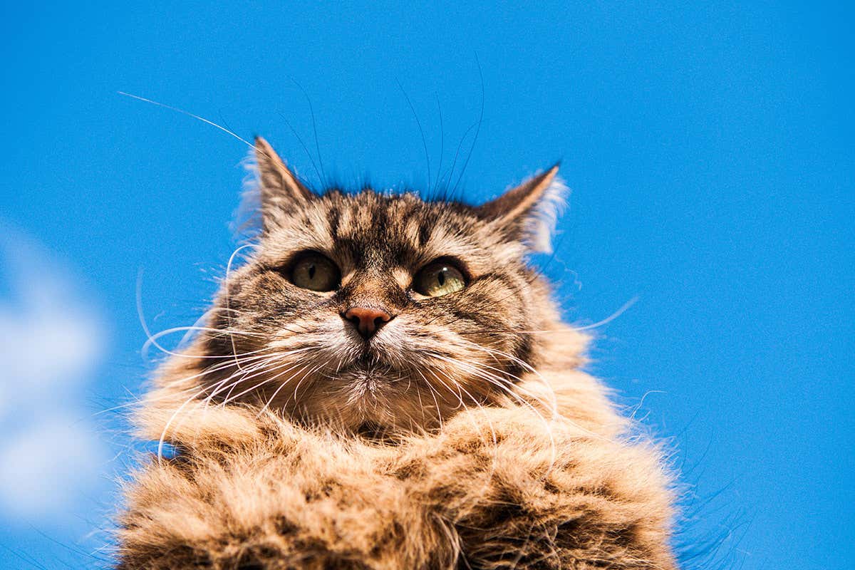 New Scientist. Science news and long reads from expert journalists, covering developments in science, technology, health and the environment on the website and the magazine.