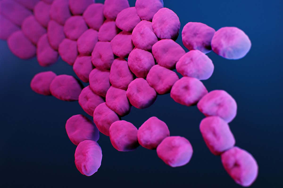 CRISPR weapon spread by bacterial sex could destroy deadly superbugs