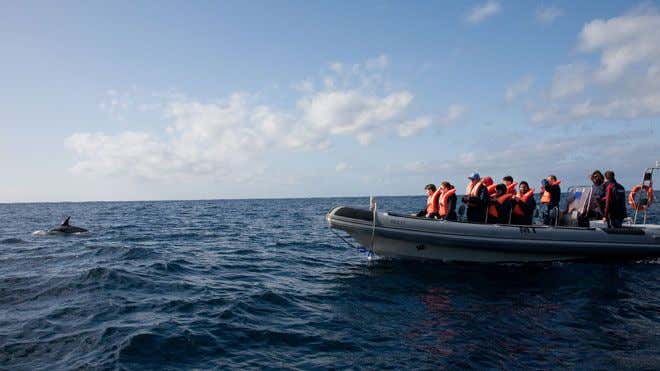 New Scientist. Science news and long reads from expert journalists, covering developments in science, technology, health and the environment on the website and the magazine.