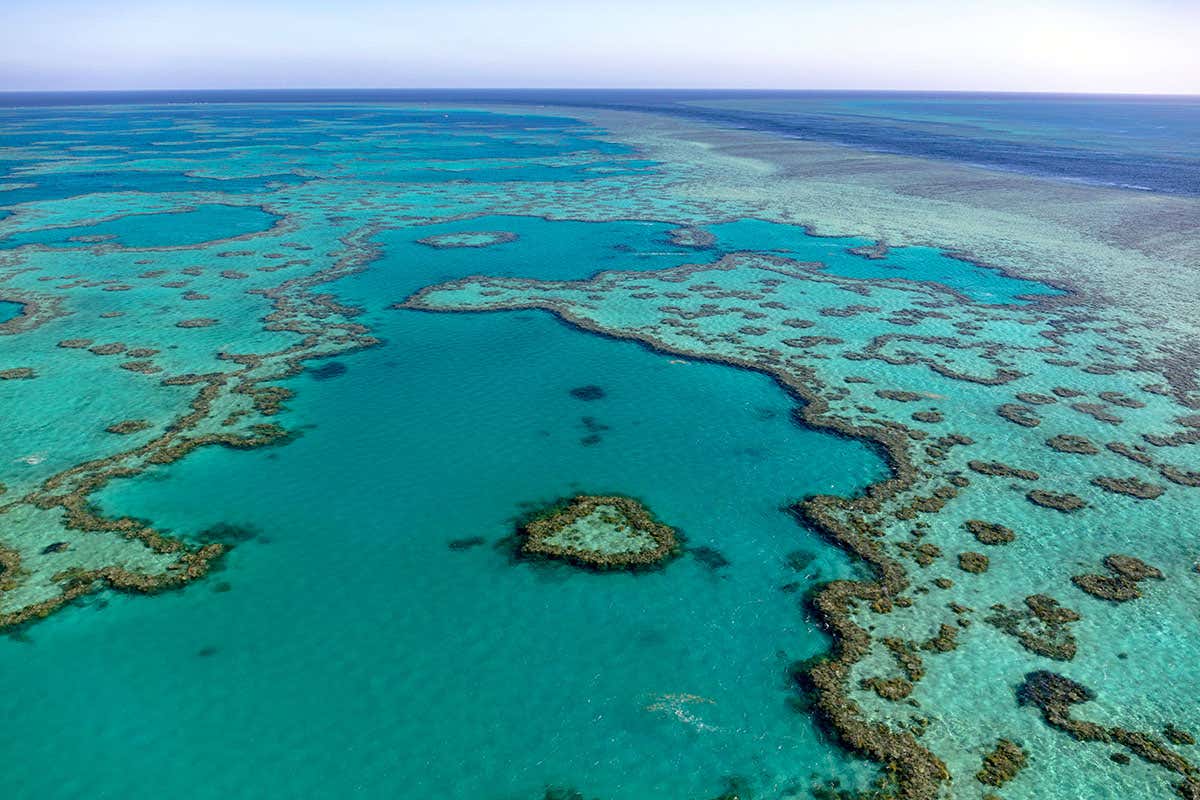 great barrier reef