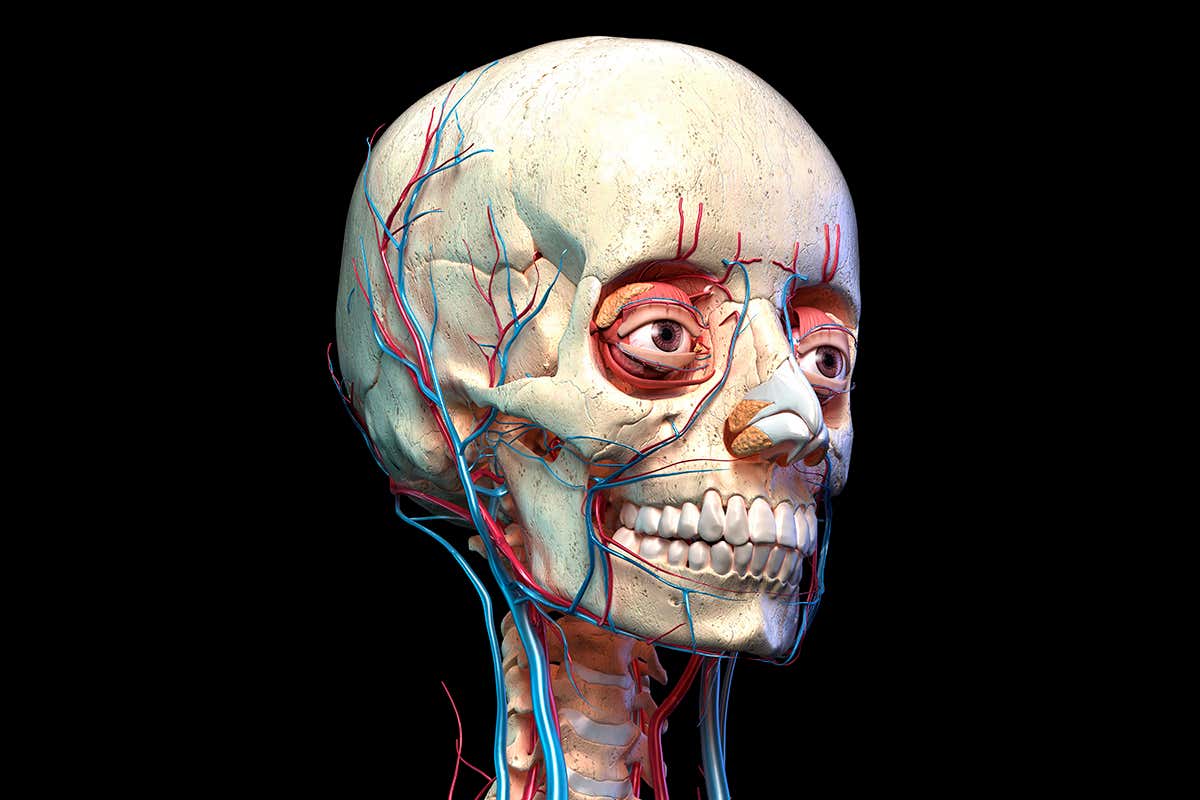 Old books bound in human skin make for spooky Halloween reading