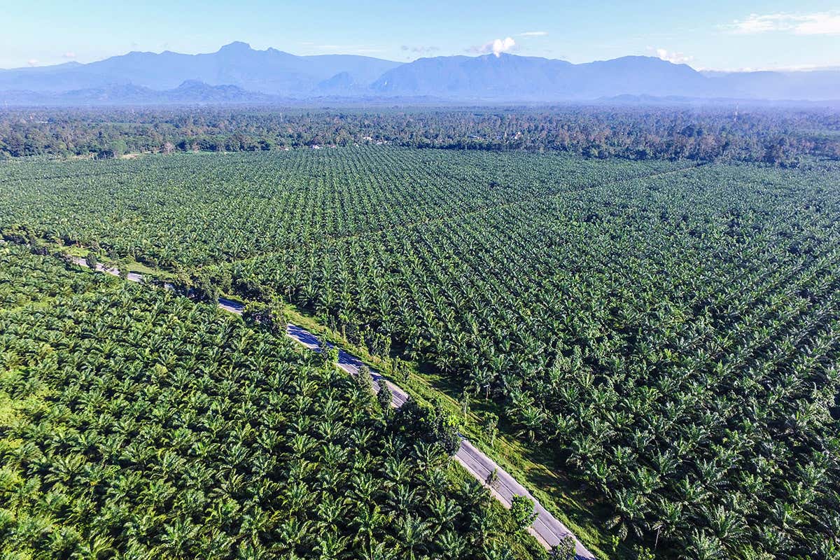 New Scientist. Science news and long reads from expert journalists, covering developments in science, technology, health and the environment on the website and the magazine.