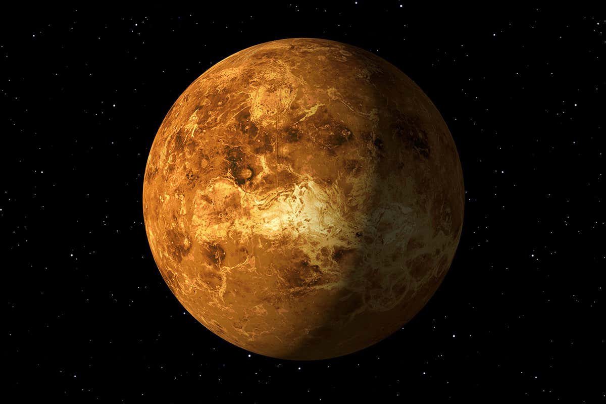 New Scientist. Science news and long reads from expert journalists, covering developments in science, technology, health and the environment on the website and the magazine.