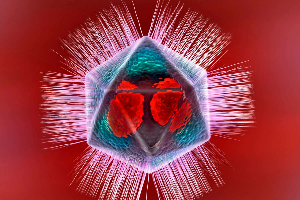 Viruses have been shown to produce their own energy for the first time