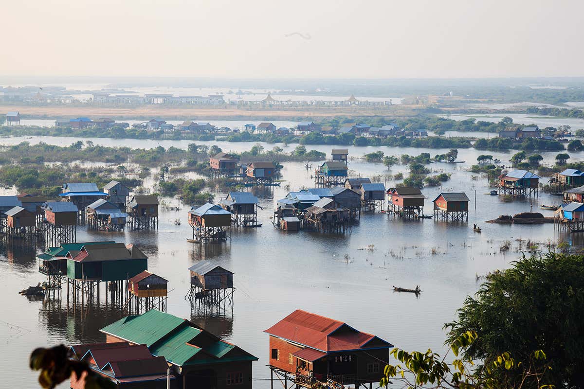 The spread of rice farms threatens key wetlands in South-East Asia