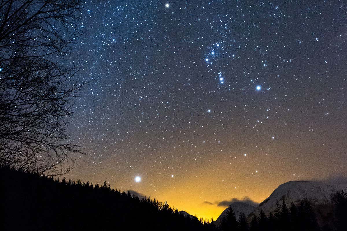 New Scientist. Science news and long reads from expert journalists, covering developments in science, technology, health and the environment on the website and the magazine.