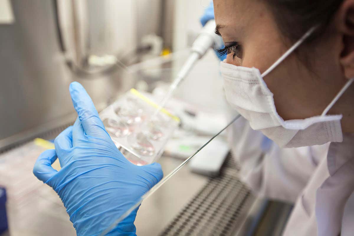 New Scientist. Science news and long reads from expert journalists, covering developments in science, technology, health and the environment on the website and the magazine.