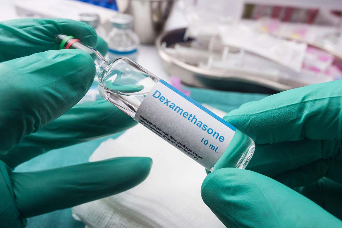 dexamethasone in vial