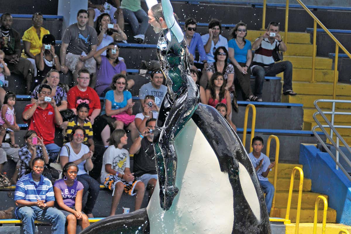 New Scientist. Science news and long reads from expert journalists, covering developments in science, technology, health and the environment on the website and the magazine.