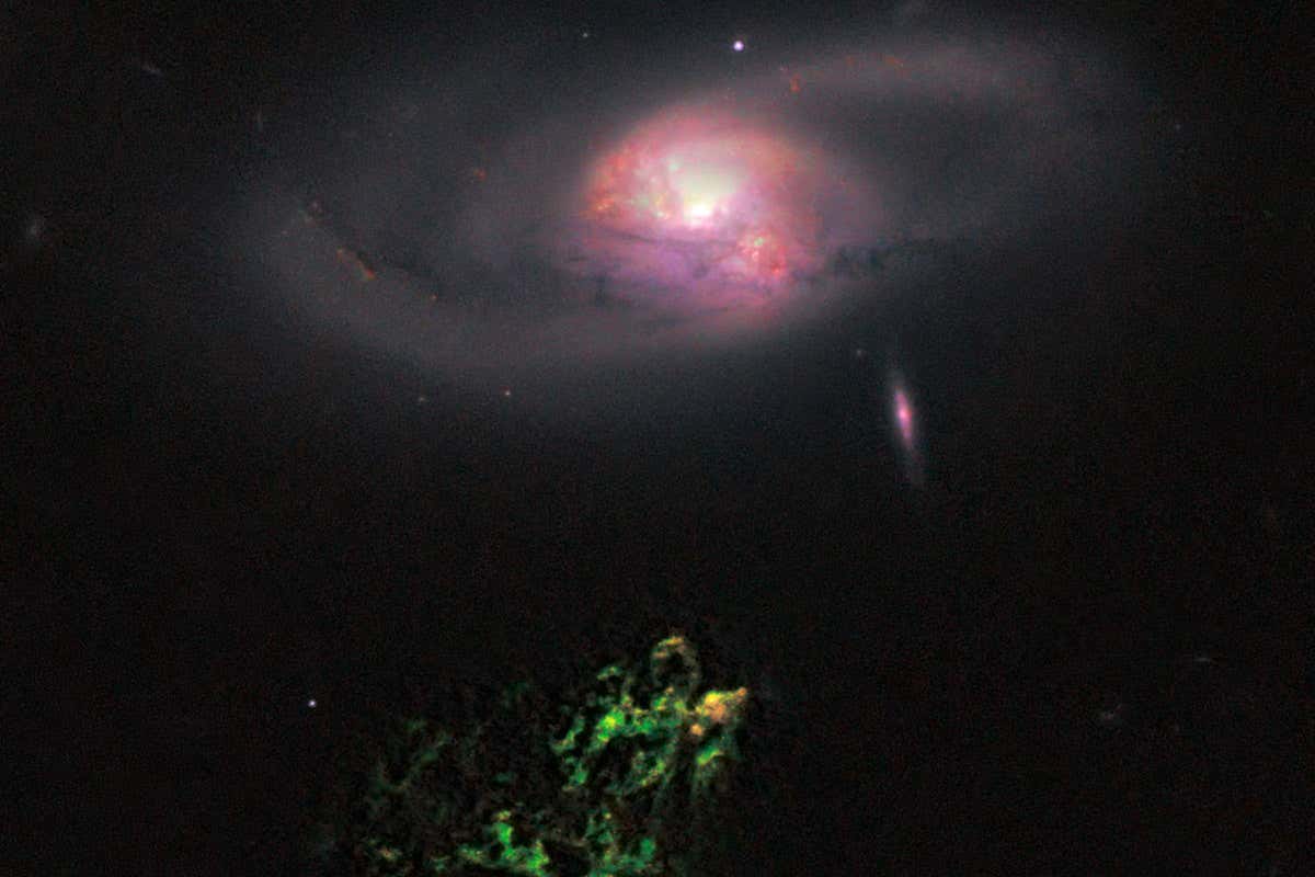 New Scientist. Science news and long reads from expert journalists, covering developments in science, technology, health and the environment on the website and the magazine.