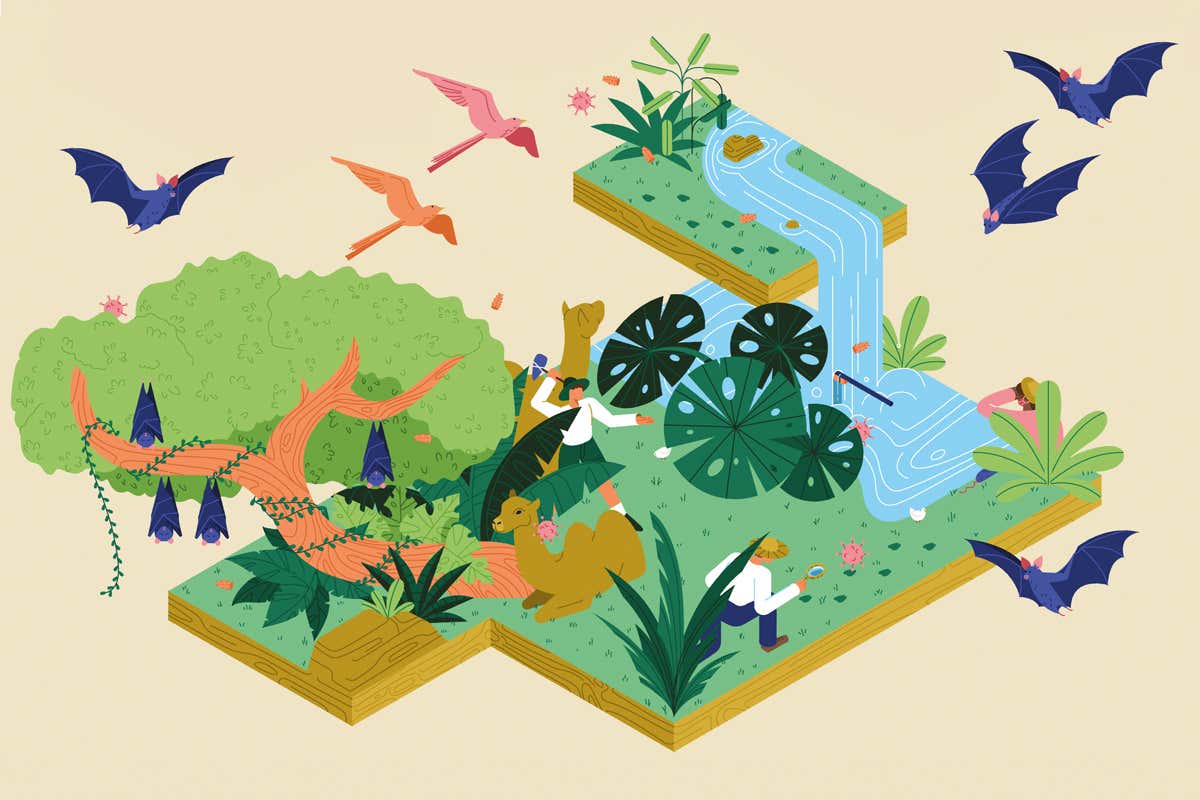 The race to find and stop viruses that could cause the next pandemic