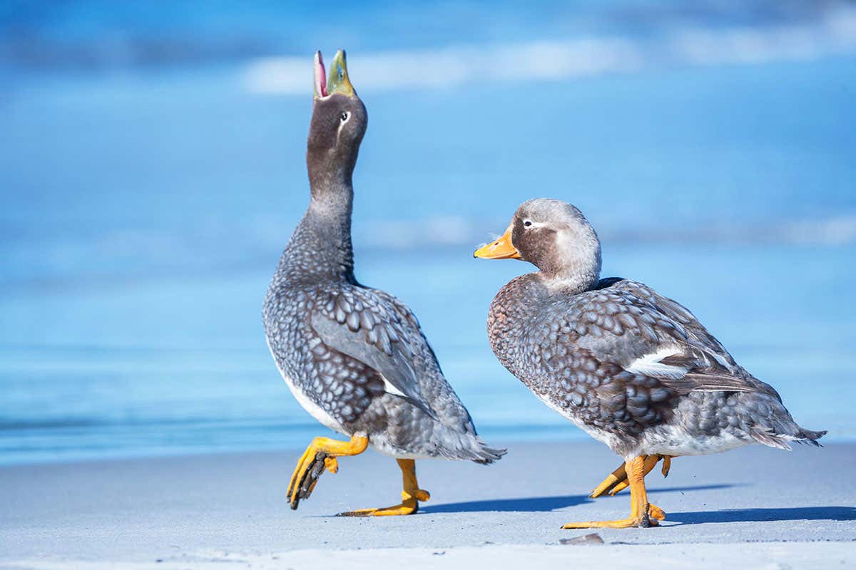 New Scientist. Science news and long reads from expert journalists, covering developments in science, technology, health and the environment on the website and the magazine.