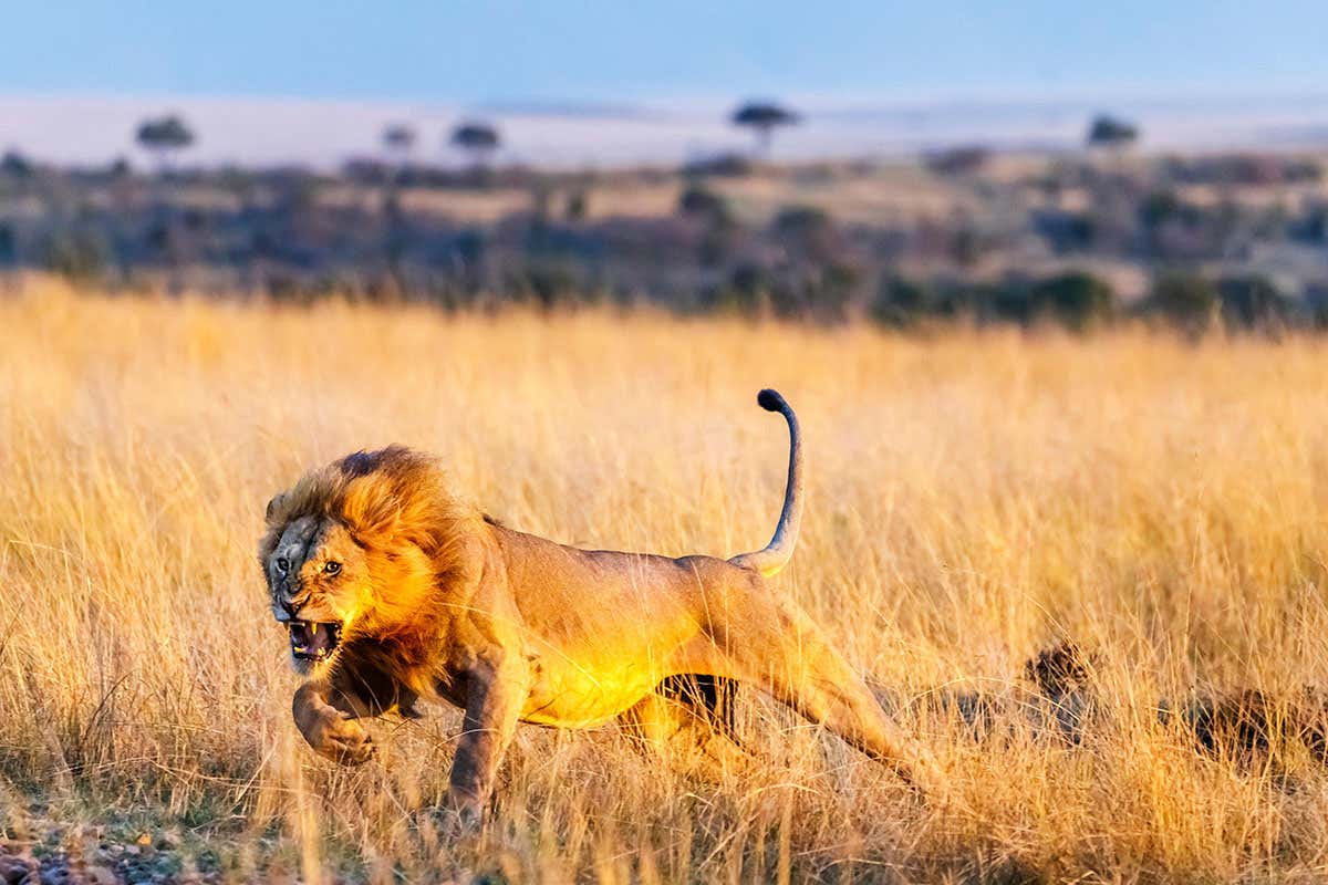 New Scientist. Science news and long reads from expert journalists, covering developments in science, technology, health and the environment on the website and the magazine.