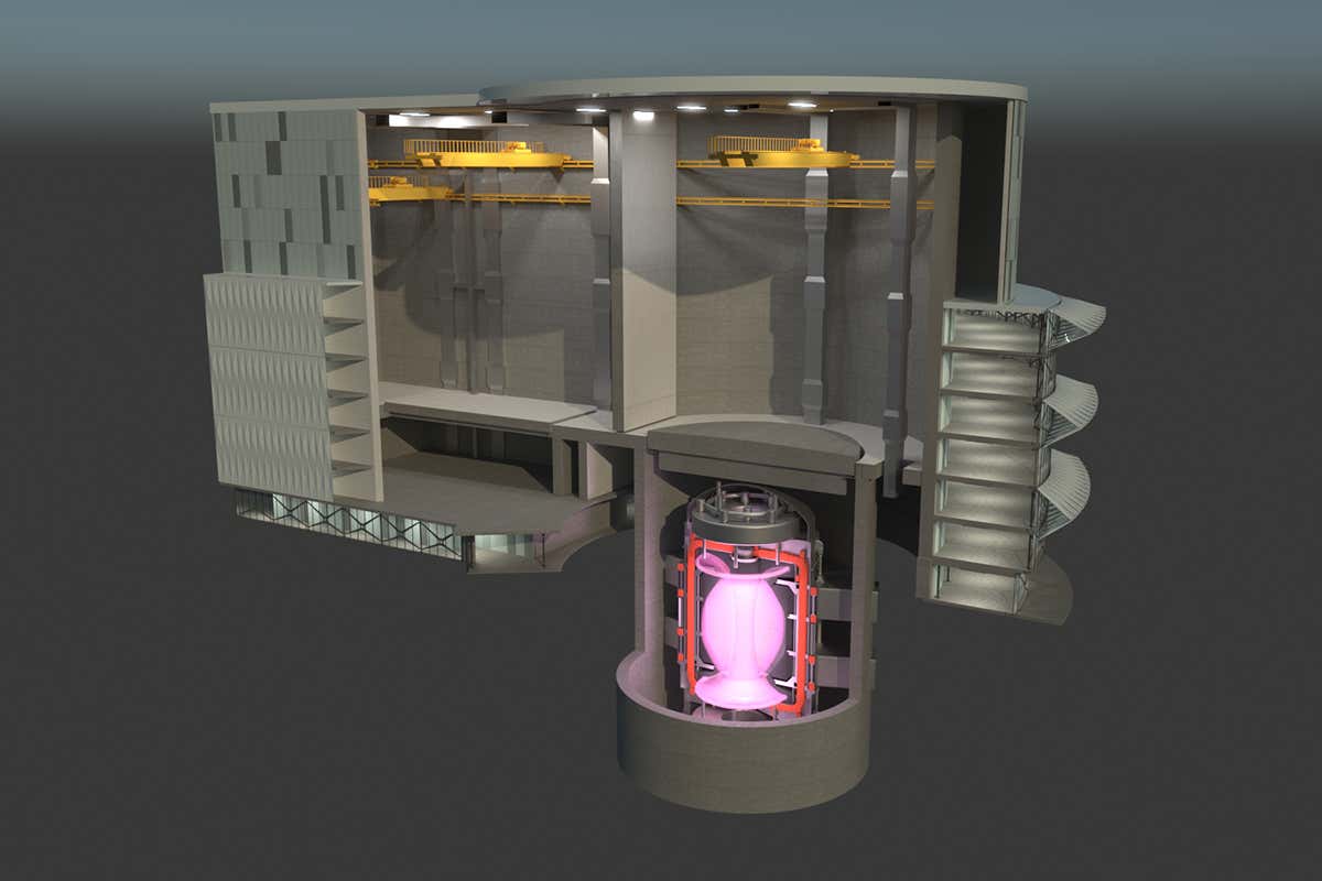 Fusion power plant