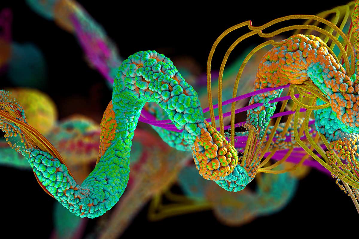 New Scientist. Science news and long reads from expert journalists, covering developments in science, technology, health and the environment on the website and the magazine.