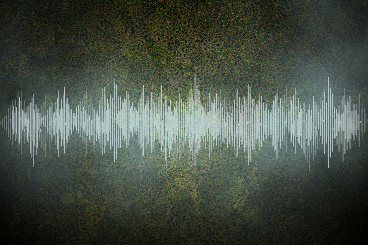 sound waves