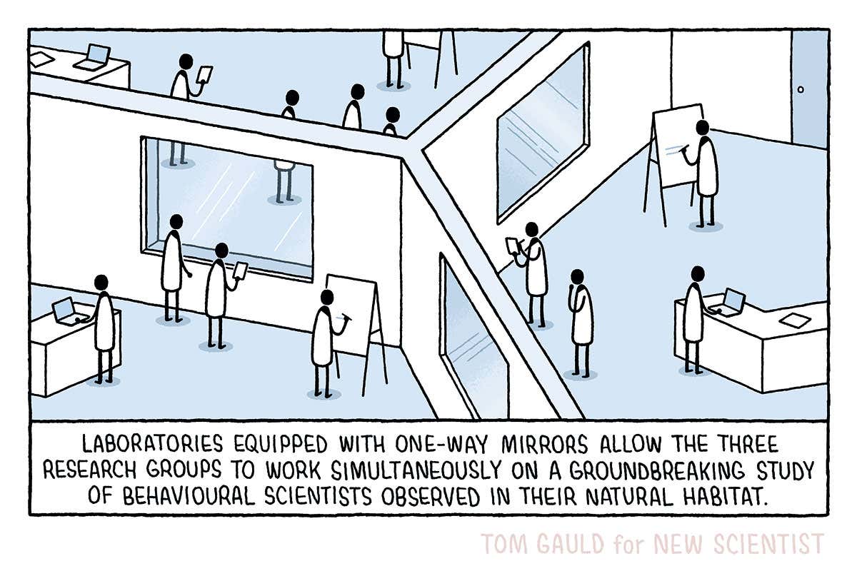 Tom Gauld's groundbreaking study of behavioural scientists