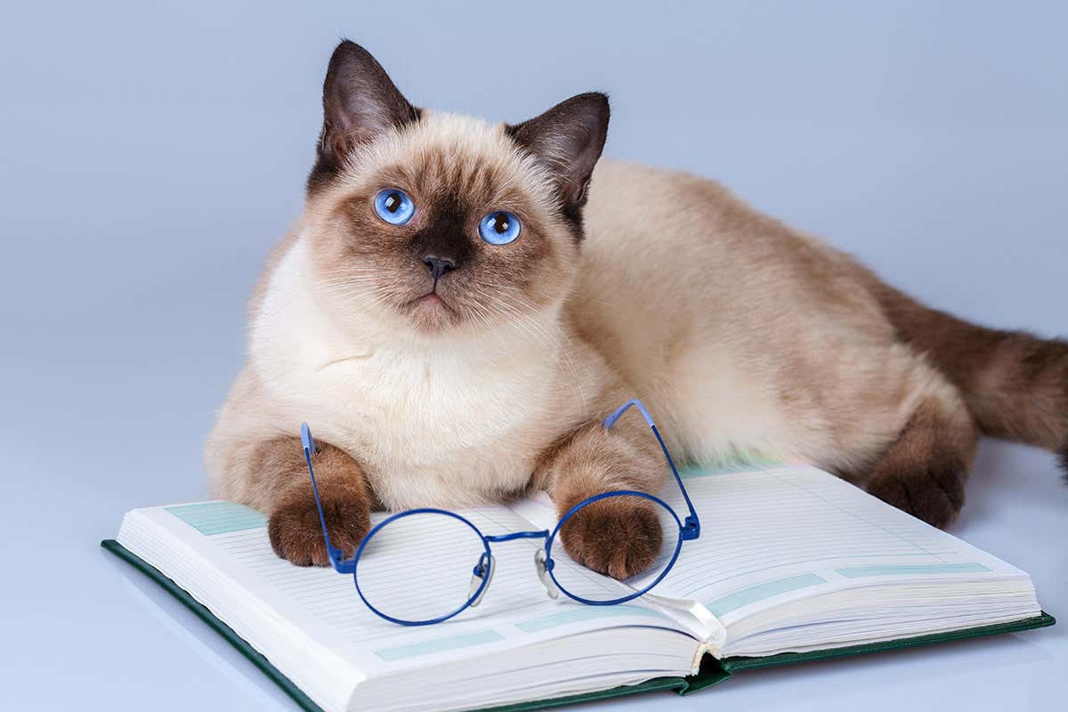 This week’s new questions