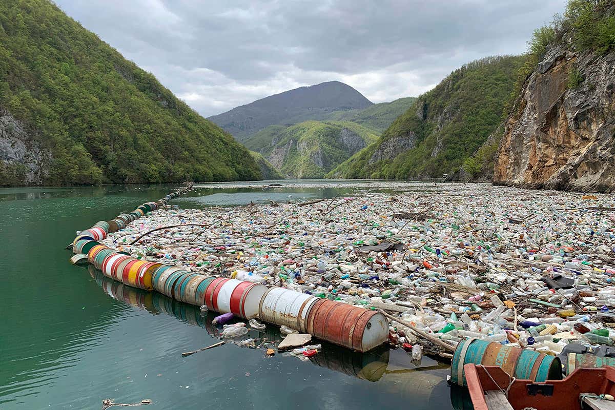 Microplastics left in water are more easily absorbed by mouse cells