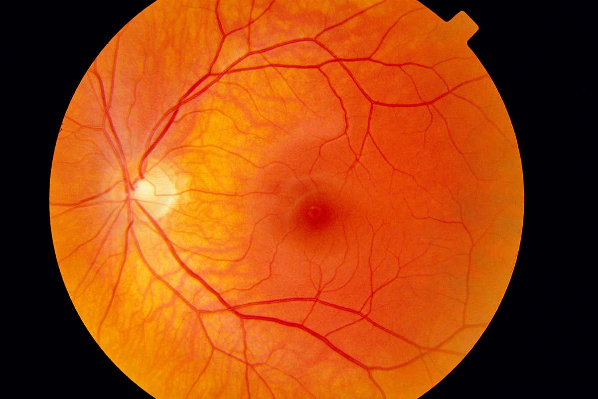 New Scientist. Science news and long reads from expert journalists, covering developments in science, technology, health and the environment on the website and the magazine.