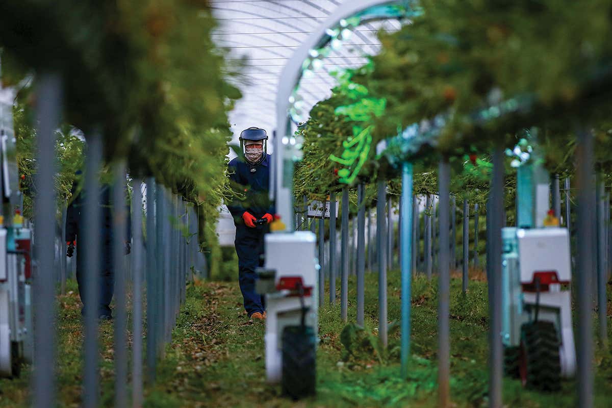First virtual all-day event: What is the future of food?