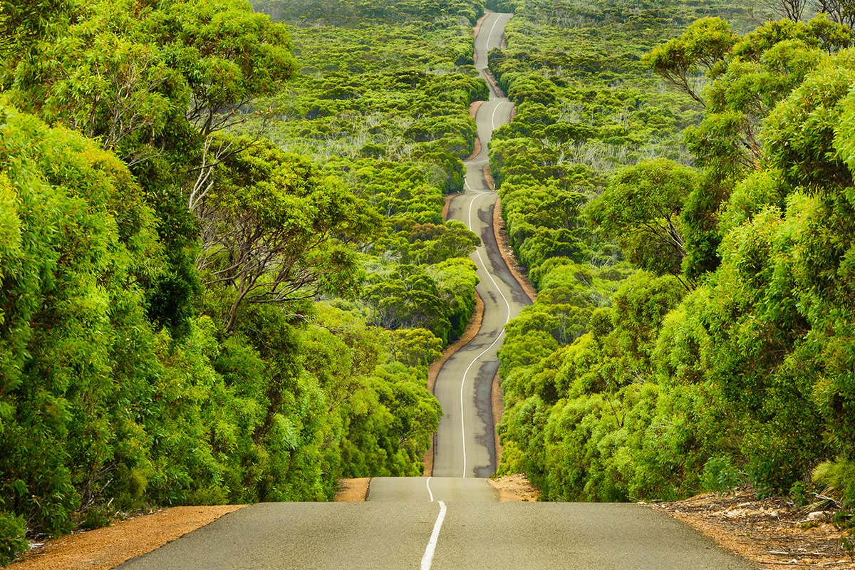 New Scientist. Science news and long reads from expert journalists, covering developments in science, technology, health and the environment on the website and the magazine.