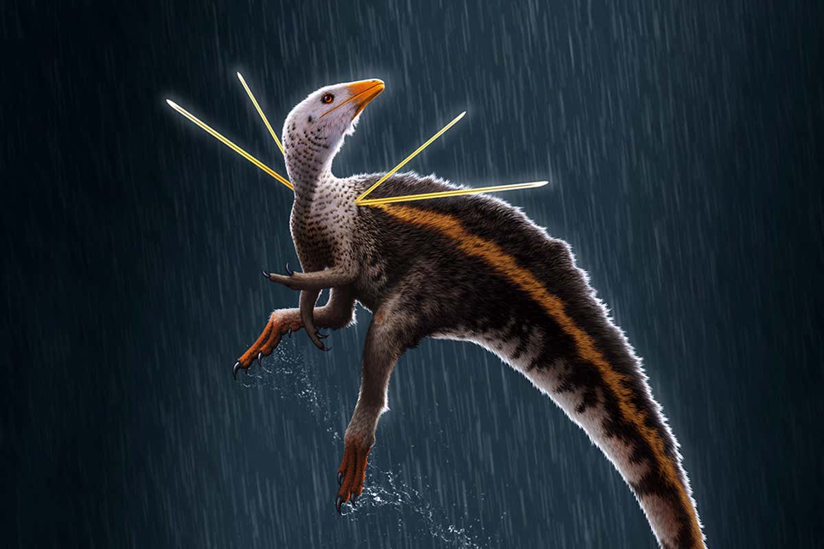 Bizarre dinosaur had a mane of fur and rods on its shoulders