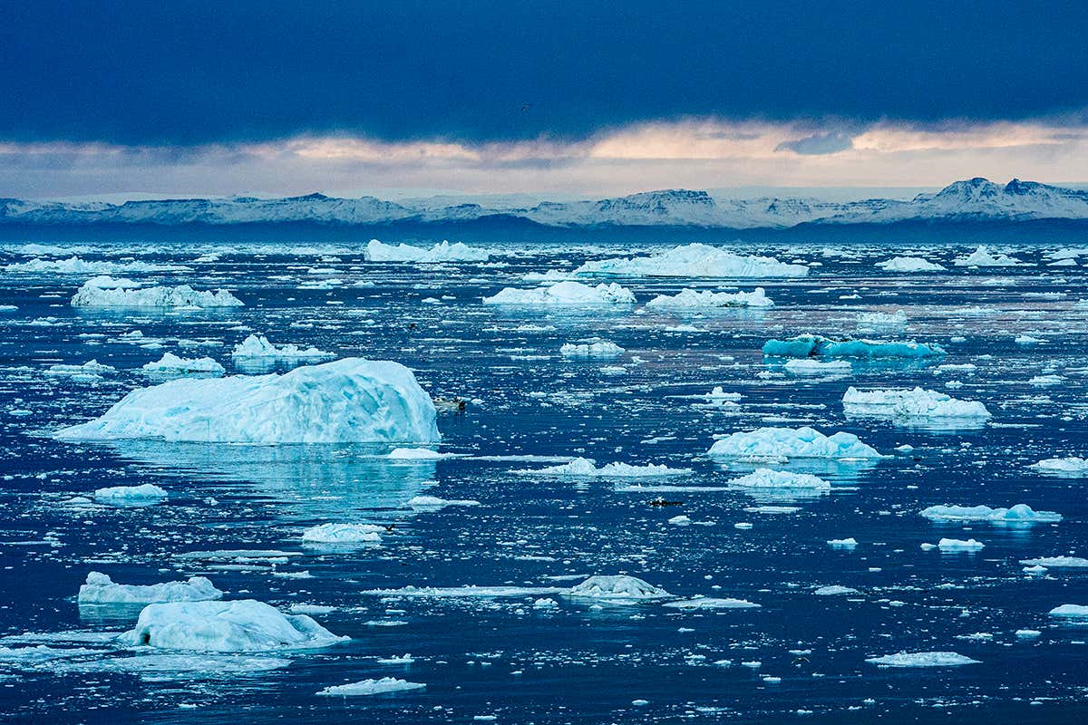 Icebergs in Greenland