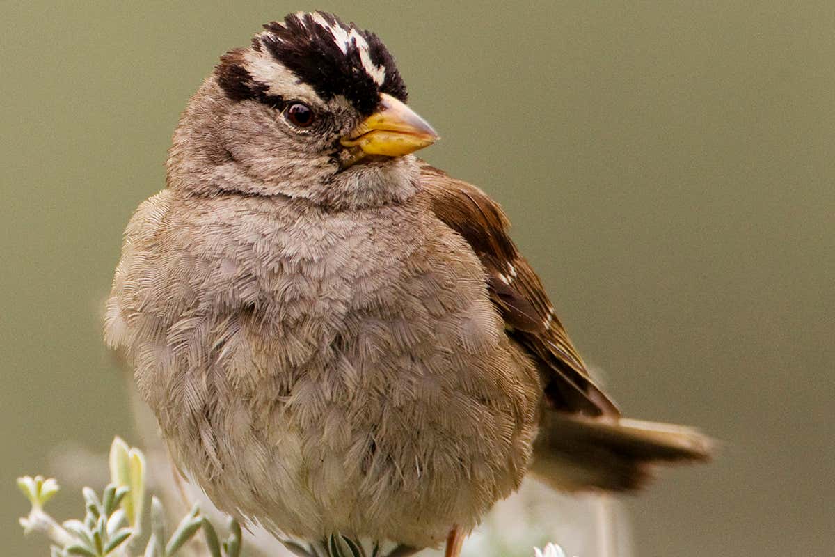 New Scientist. Science news and long reads from expert journalists, covering developments in science, technology, health and the environment on the website and the magazine.