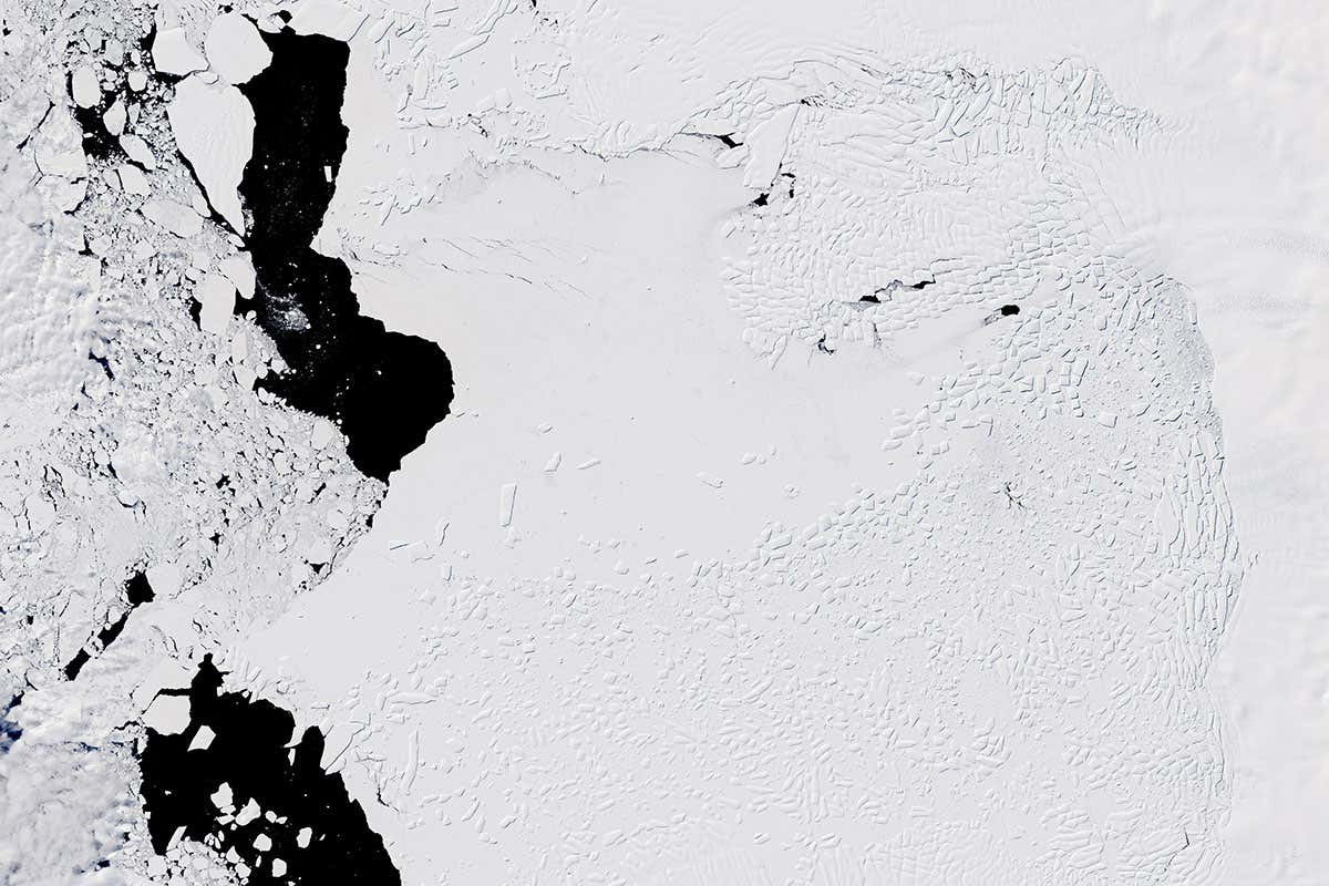 New Scientist. Science news and long reads from expert journalists, covering developments in science, technology, health and the environment on the website and the magazine.