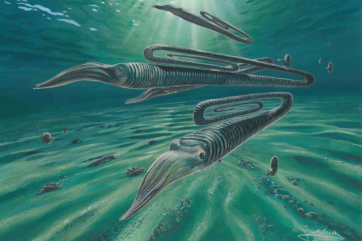 Quiz of the year: Can you remember the science stories of 2020?