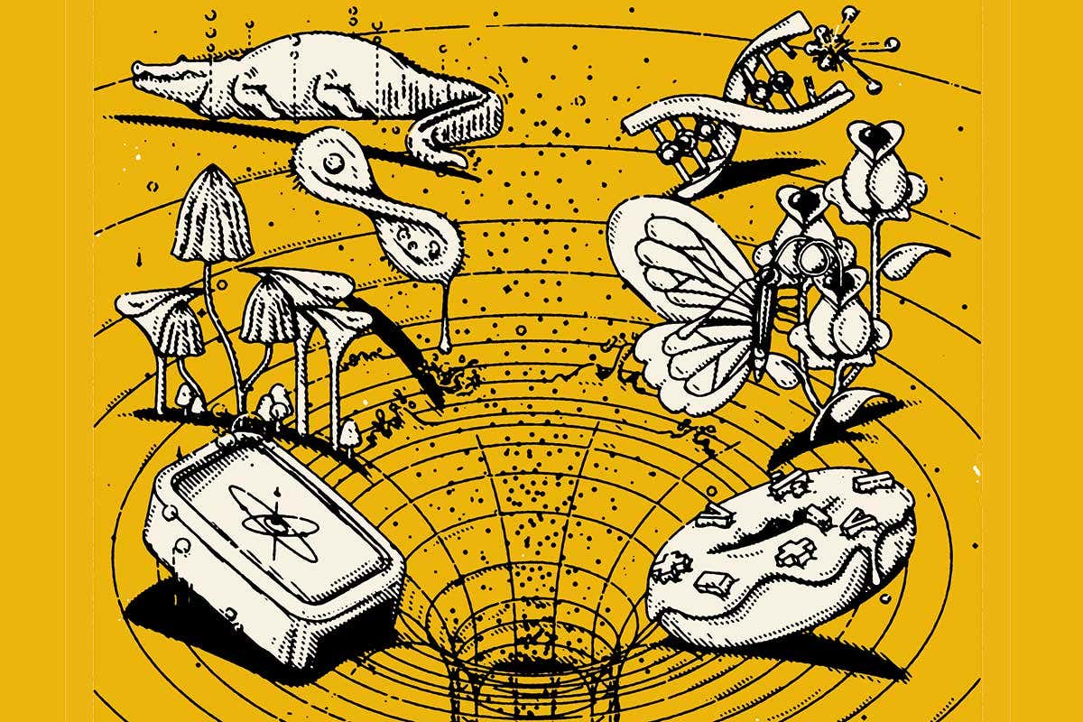 Wombling, boojums and thunk: Test yourself in our jargon-busting quiz