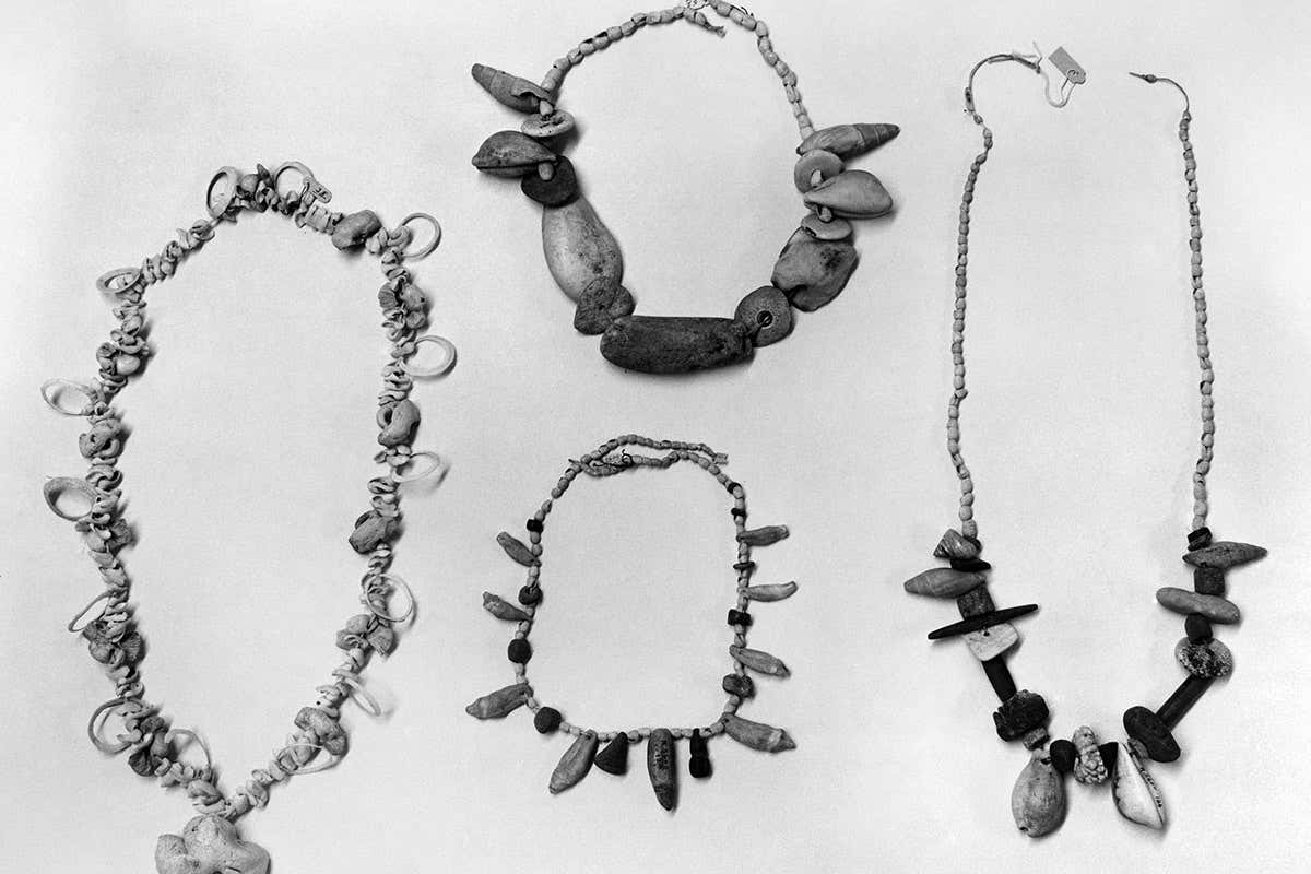 New Scientist. Science news and long reads from expert journalists, covering developments in science, technology, health and the environment on the website and the magazine.