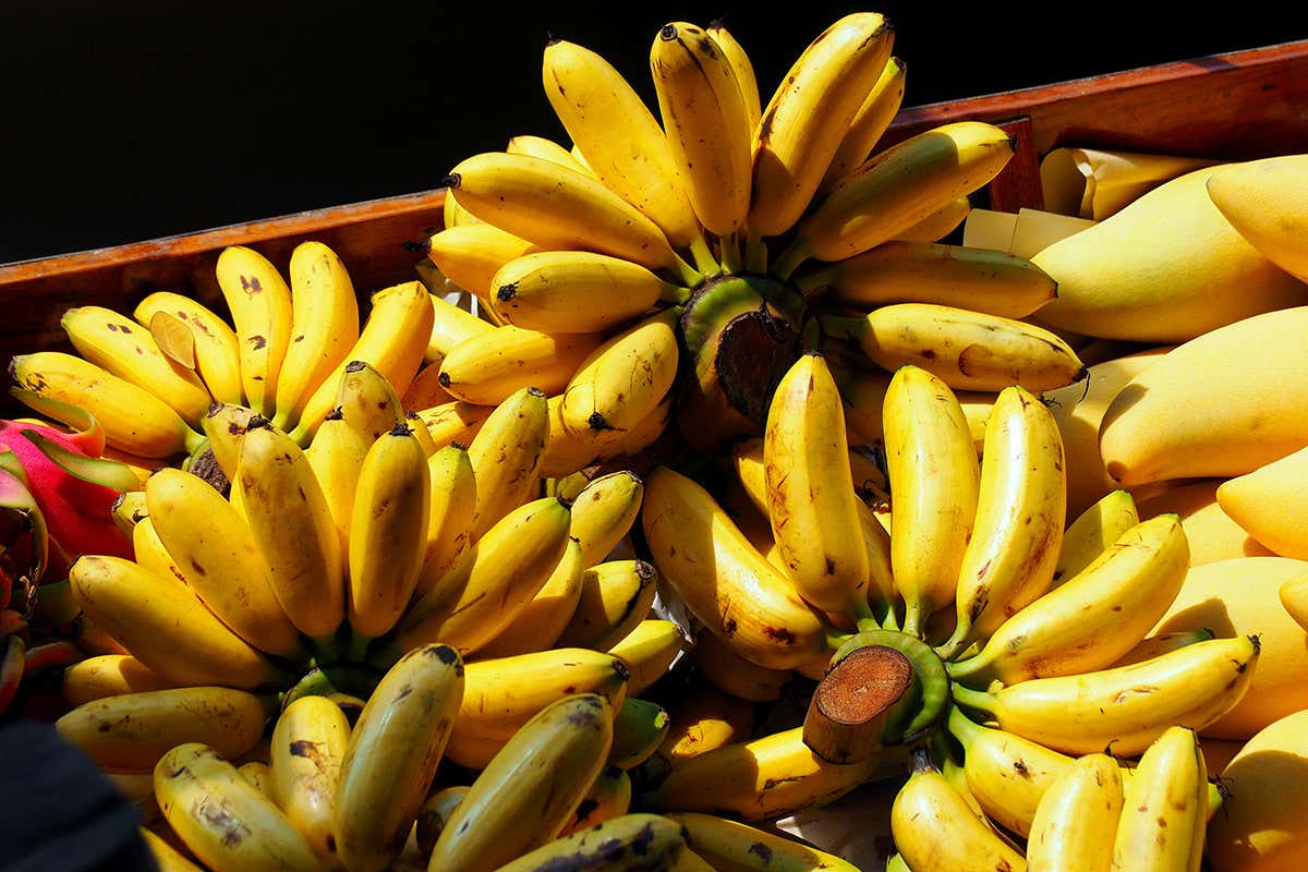 Bananas in a floating market in Thailand