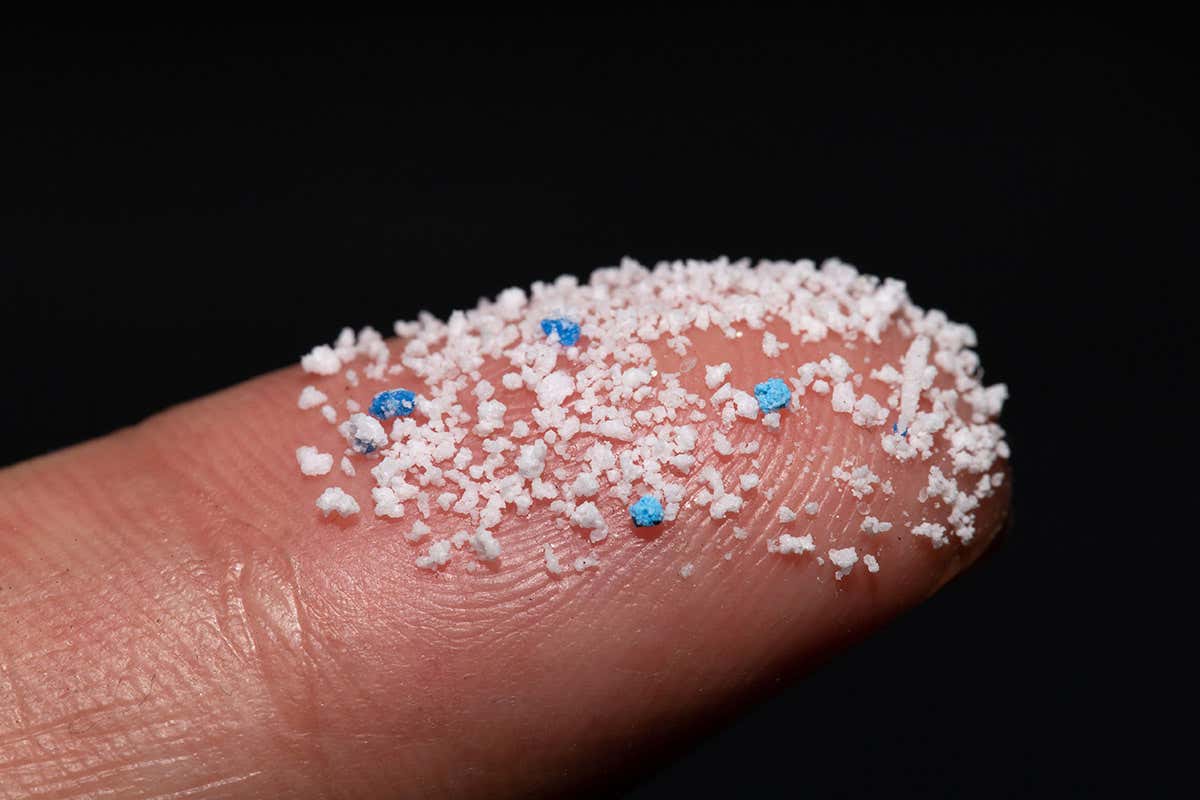2021 preview: We will find out if microplastics are harming our cells